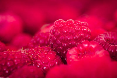 Close-up of raspberries