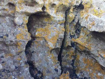 Full frame shot of stone wall