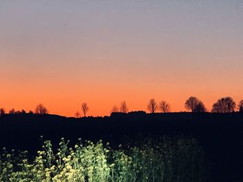 Silhouette trees on field against sky during sunset