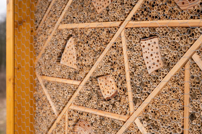 pattern