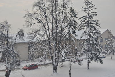 Bare trees on snow covered field by building