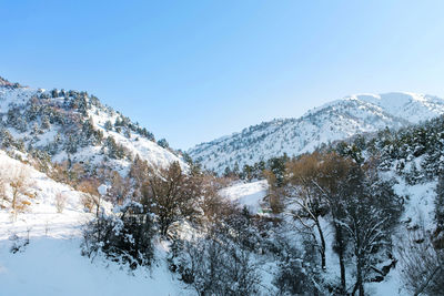 Winter in the mountains of uzbekistan. beldersay resort on a clear sunny day