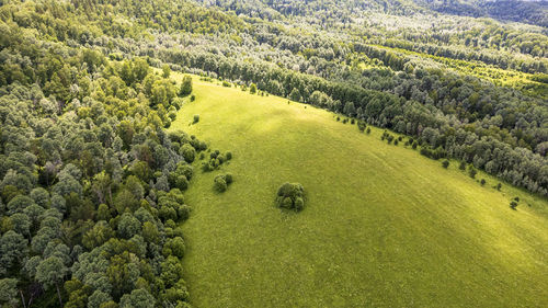 High angle view of people walking on field