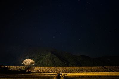 Scenic view of field against sky at night