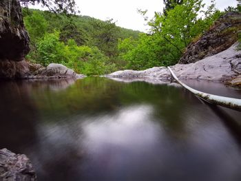 Scenic view of lake in forest against sky