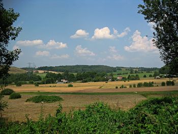 Scenic view of agricultural field against sky