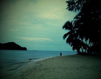 Scenic view of sea at sunset