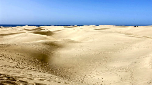 Scenic view of beach against clear blue sky