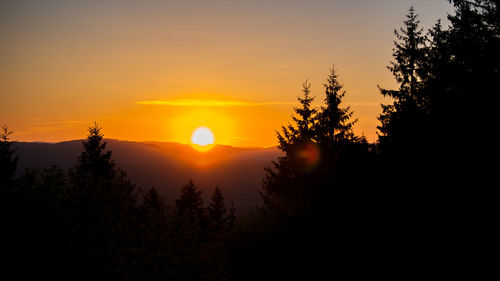 Silhouette trees against sky during sunset