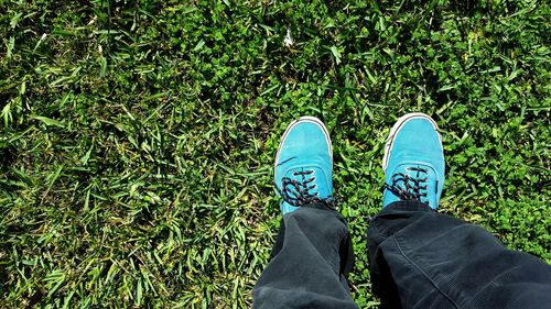 Low section of person standing on grassy field