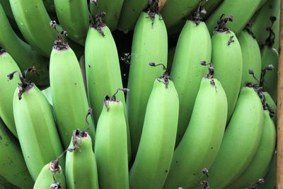 Close-up of bananas