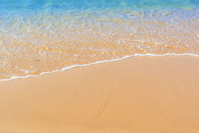 Scenic view of beach