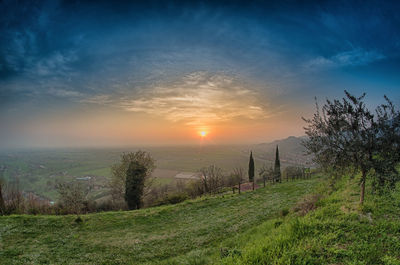 Scenic view of field against sky during sunset