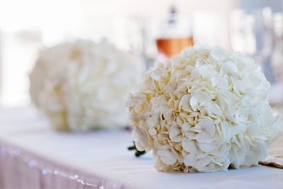 Close-up of white rose on table