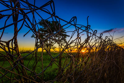 Scenic view of field against sky at sunset