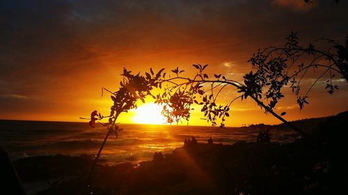 Silhouette tree by sea against romantic sky at sunset