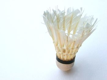 Close-up of white flower on table