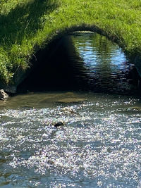 High angle view of person swimming in lake