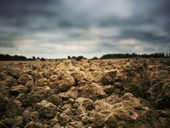 Scenic view of landscape against cloudy sky