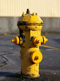 Fire hydrant collection 