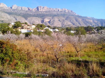 Scenic view of mountains against sky