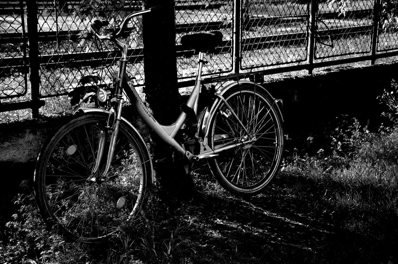 bicycle, metal, transportation, land vehicle, mode of transport, indoors, wheel, stationary, railing, metallic, close-up, pattern, parking, day, no people, fence, sunlight, water, parked