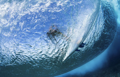 Low angle view of man surfing in sea
