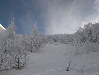 Scenic view of snow covered landscape against sky