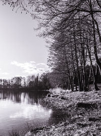 Scenic view of lake in forest against sky