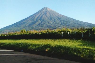 Landscape with mountain range in background