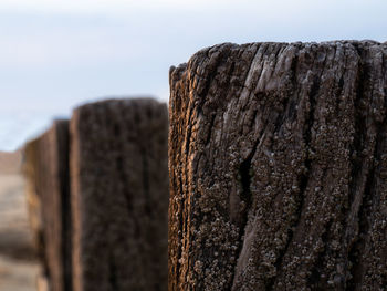 Close-up of wooden log on rock against sky