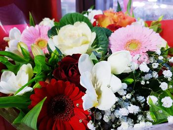 Close-up of flowers blooming outdoors