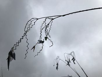 Low angle view of barbed wire against sky