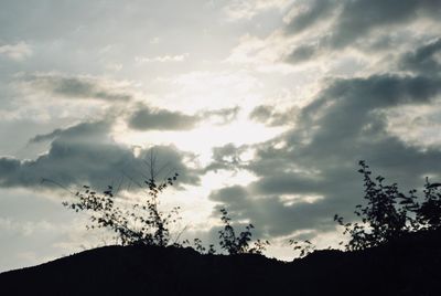 Low angle view of silhouette trees against sky at sunset