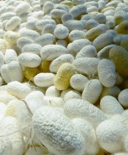 Full frame shot of stones