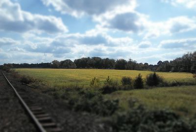 Scenic view of field against sky