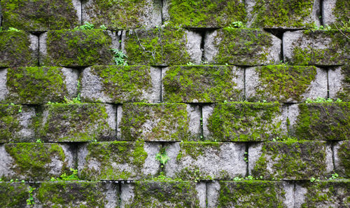 Close-up of old stone wall