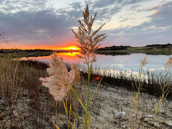 Scenic view of lake against sky during sunset