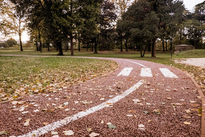 Road sign on field in park