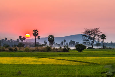 Scenic view of field against sky during sunset