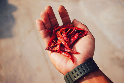 Cropped hand of person holding food