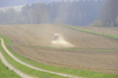 Scenic view of agricultural field