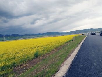 Road passing through field