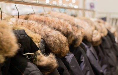 Close-up of fur coats hanging on rack