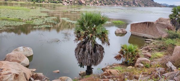 High angle view of rocks by lake