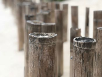 Close-up of coffee cup on wood