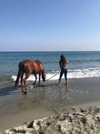 Rear view of woman with horse on beach against sky