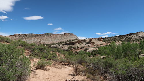 Scenic view of landscape against blue sky