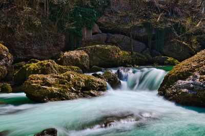 Scenic view of waterfall in forest