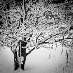 Snow covered plants by bare trees